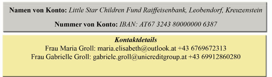 LITTLE STAR FUND