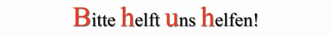 LITTLE STAR FUND