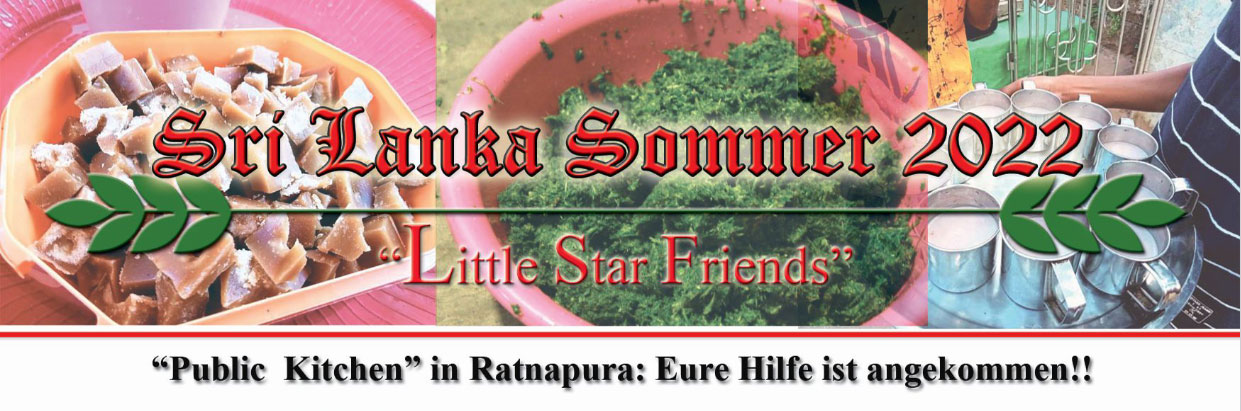 LITTLE STAR FUND