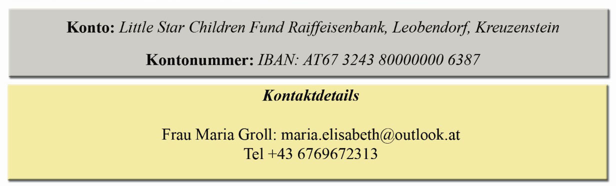 LITTLE STAR FUND