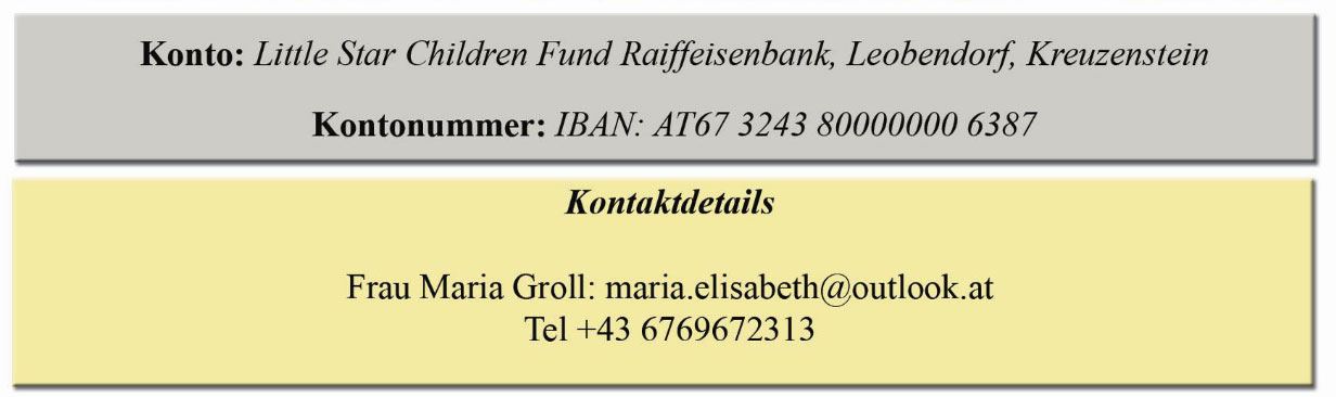 LITTLE STAR FUND