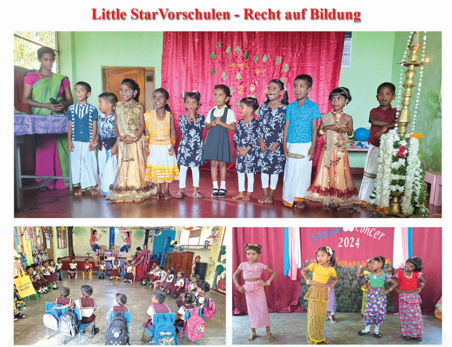 LITTLE STAR FUND