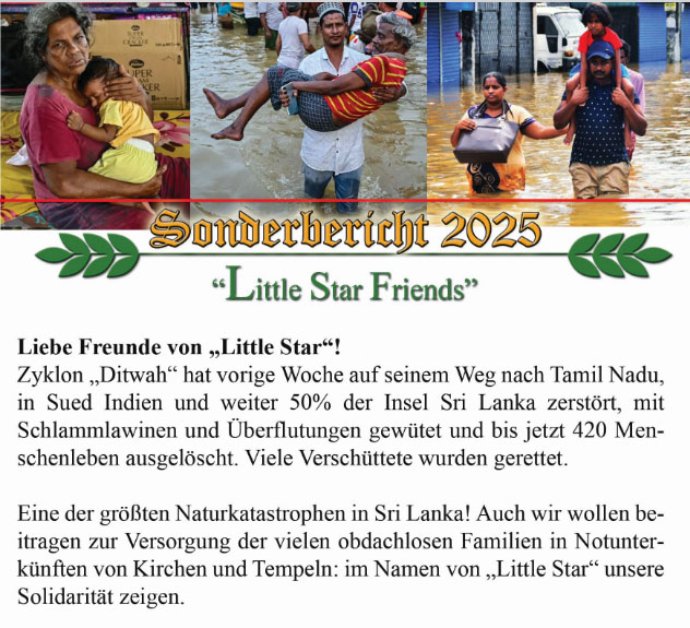 LITTLE STAR FUND